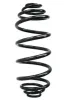 Fahrwerksfeder Hinterachse SPIDAN 87220