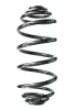 Fahrwerksfeder Hinterachse SPIDAN 87221