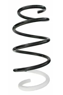 Fahrwerksfeder Vorderachse SPIDAN 87228 Bild Fahrwerksfeder Vorderachse SPIDAN 87228