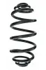 Fahrwerksfeder Hinterachse SPIDAN 87230