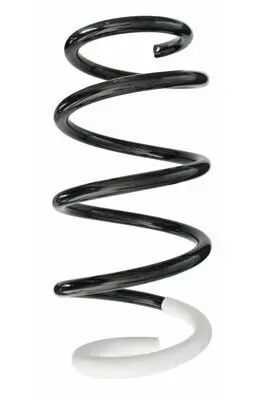 Fahrwerksfeder Vorderachse SPIDAN 87235 Bild Fahrwerksfeder Vorderachse SPIDAN 87235