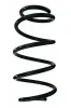Fahrwerksfeder Vorderachse SPIDAN 87241
