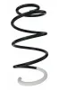 Fahrwerksfeder Vorderachse SPIDAN 87249