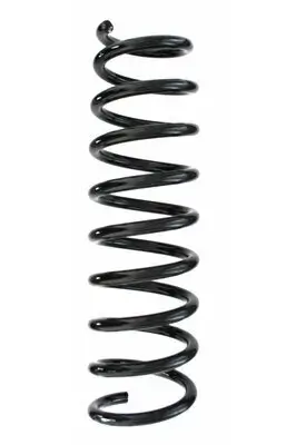 Fahrwerksfeder Hinterachse SPIDAN 87256