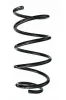 Fahrwerksfeder Vorderachse SPIDAN 87271