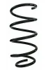 Fahrwerksfeder Vorderachse SPIDAN 87272