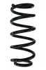 Fahrwerksfeder Hinterachse SPIDAN 87282