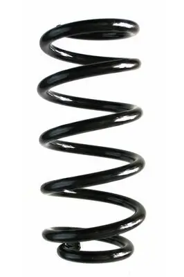 Fahrwerksfeder Hinterachse SPIDAN 87284