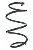 Fahrwerksfeder Vorderachse SPIDAN 87302