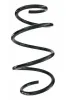 Fahrwerksfeder Vorderachse SPIDAN 87303