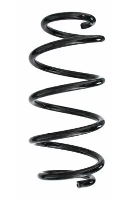 Fahrwerksfeder Hinterachse SPIDAN 87305