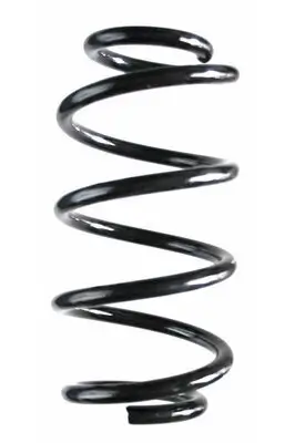Fahrwerksfeder Hinterachse SPIDAN 87307