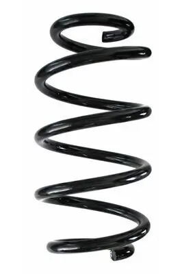 Fahrwerksfeder Hinterachse SPIDAN 87308