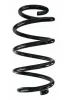 Fahrwerksfeder Hinterachse SPIDAN 87308