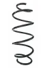 Fahrwerksfeder Vorderachse SPIDAN 87311