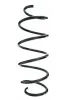 Fahrwerksfeder Vorderachse SPIDAN 87319