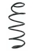 Fahrwerksfeder Vorderachse SPIDAN 87325