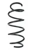 Fahrwerksfeder Vorderachse SPIDAN 87330
