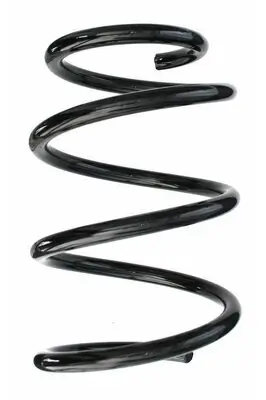 Fahrwerksfeder Hinterachse SPIDAN 87342