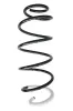 Fahrwerksfeder Vorderachse SPIDAN 87352