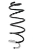 Fahrwerksfeder Vorderachse SPIDAN 87359