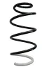 Fahrwerksfeder Vorderachse SPIDAN 87364