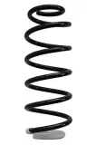 Fahrwerksfeder Hinterachse SPIDAN 87366