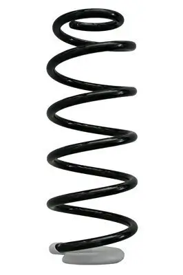 Fahrwerksfeder Hinterachse SPIDAN 87366 Bild Fahrwerksfeder Hinterachse SPIDAN 87366