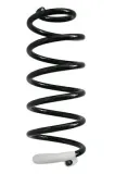 Fahrwerksfeder Hinterachse SPIDAN 87367