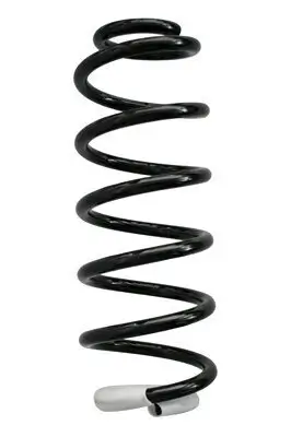 Fahrwerksfeder Hinterachse SPIDAN 87368