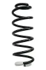 Fahrwerksfeder Hinterachse SPIDAN 87368