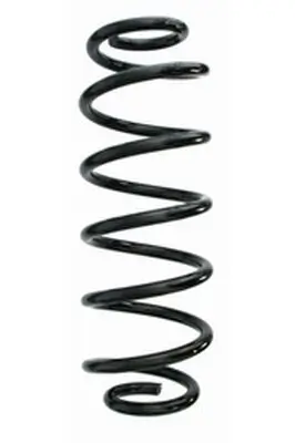 Fahrwerksfeder Hinterachse SPIDAN 87373