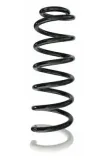 Fahrwerksfeder Hinterachse SPIDAN 87386