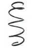 Fahrwerksfeder Vorderachse SPIDAN 87394