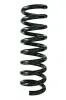 Fahrwerksfeder Hinterachse SPIDAN 87396