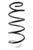 Fahrwerksfeder Vorderachse SPIDAN 87397