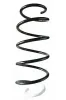 Fahrwerksfeder Vorderachse SPIDAN 87398