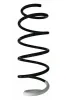 Fahrwerksfeder Vorderachse SPIDAN 87400