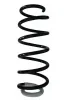 Fahrwerksfeder Vorderachse SPIDAN 87401