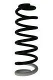 Fahrwerksfeder Hinterachse SPIDAN 87405