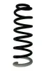 Fahrwerksfeder Hinterachse SPIDAN 87407