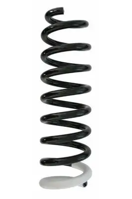 Fahrwerksfeder Hinterachse SPIDAN 87410