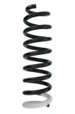 Fahrwerksfeder Hinterachse SPIDAN 87410