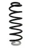 Fahrwerksfeder Hinterachse SPIDAN 87411