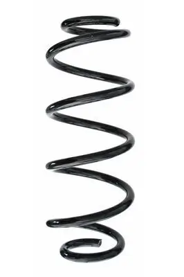 Fahrwerksfeder Hinterachse SPIDAN 87421