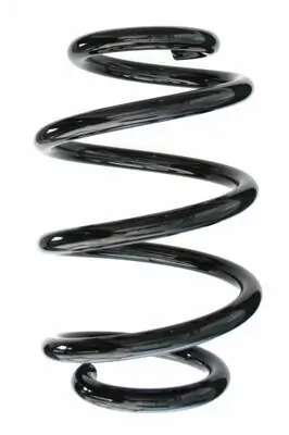 Fahrwerksfeder Hinterachse SPIDAN 87438