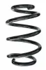 Fahrwerksfeder Hinterachse SPIDAN 87438