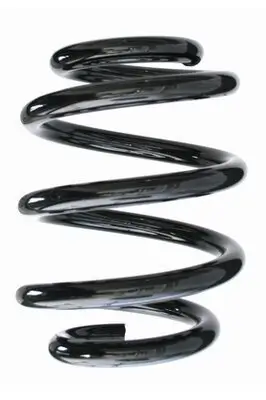 Fahrwerksfeder Hinterachse SPIDAN 87440
