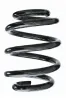 Fahrwerksfeder Hinterachse SPIDAN 87440