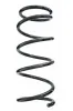 Fahrwerksfeder Vorderachse SPIDAN 87445